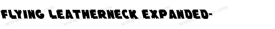 Flying Leatherneck Expanded字体转换